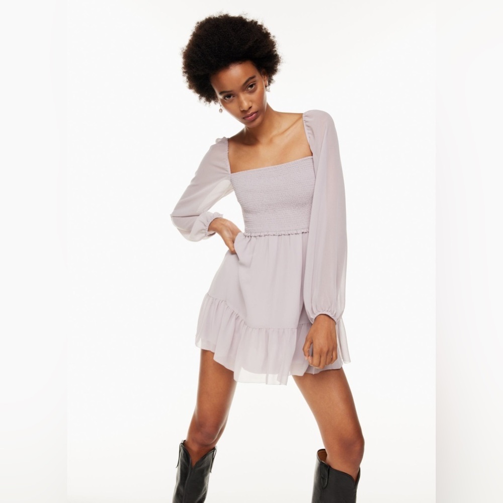 COPY - Aritzia Wilfred Tempest Mini Dress